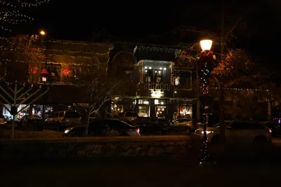 DSC_0039 (Large).JPG